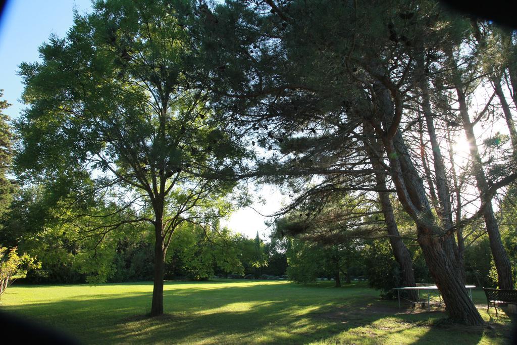 Bed and Breakfast Mas La Provence Л'Іль-сюр-ла-Сорг Екстер'єр фото